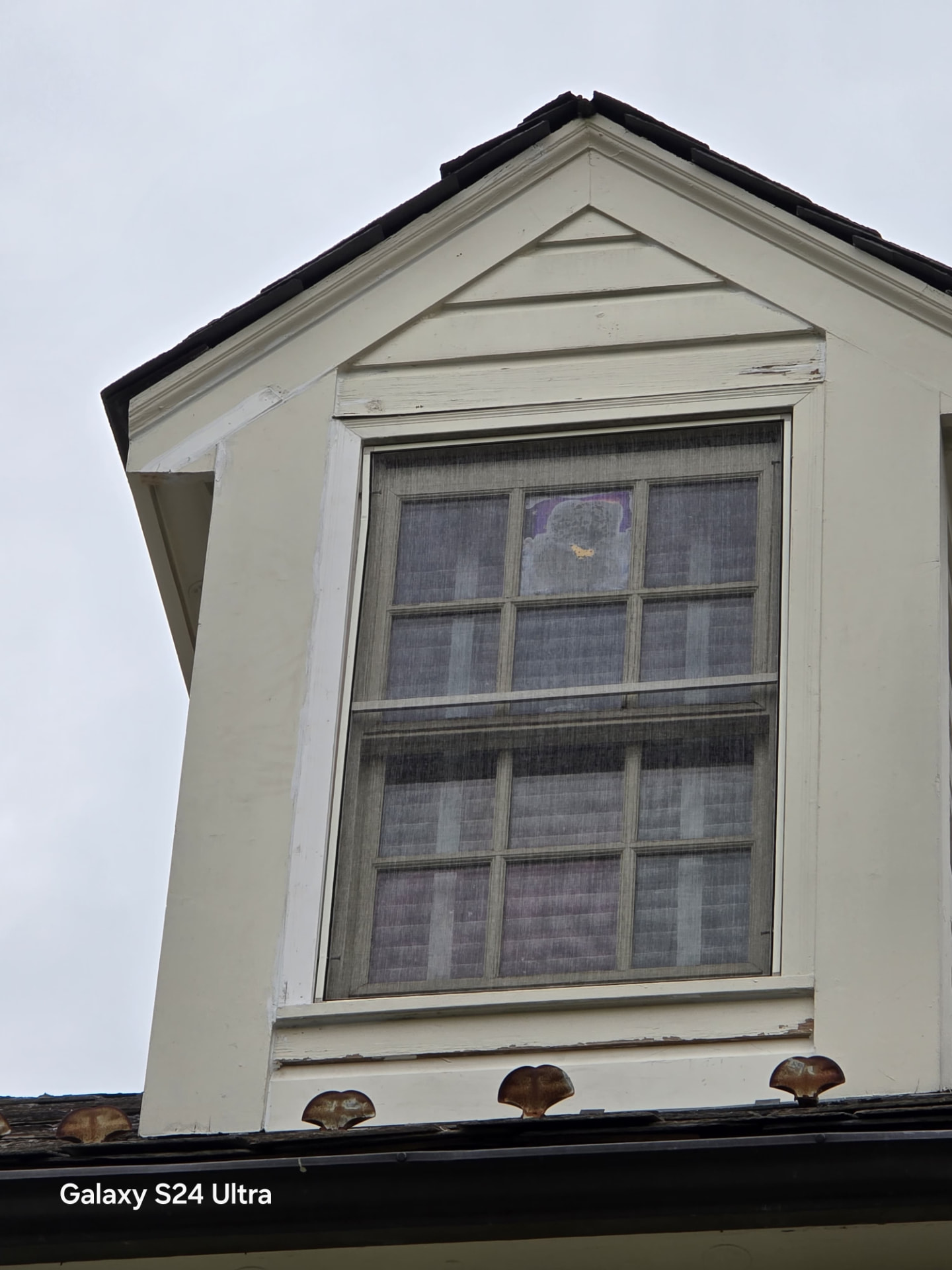 Before — Dormer restoration — rotted trim repaired, scraped and repainted